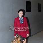 2-	Sure ba si Heart Evangelista na p’wede sa loob ng airport si Doggie?