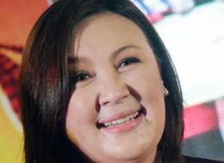 Sharon Cuneta, nagsisisi sa pagpatol sa bashers!