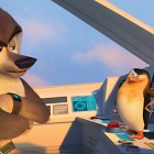 1 The Penguins Of Madagascar
