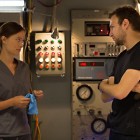 4 The Lazarus Effect