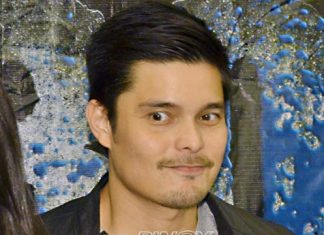 Dingdong Dantes, desidido na raw tumakbong senador