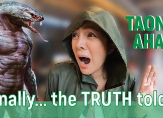 30 YEARS AFTER: Alice Dixson, natuklaw nga ba talaga ng Taong Ahas sa sikat na mall?!