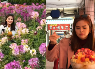 VLOG WATCH: TAIWANderful Taiwan Trip ni Bea Binene!