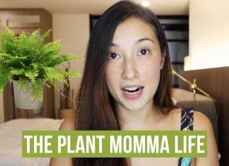VLOG WATCH: Solenn Heussaff’s Plant Momma Life + Air Purifying Tips