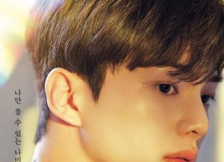 Things You Didn’t Know About Song Kang of ‘Nevertheless’