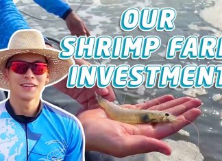 VLOG WATCH: Enchong Dee, ipinakita ang kanyang shrimp farm sa Zambales (nakakalula!)
